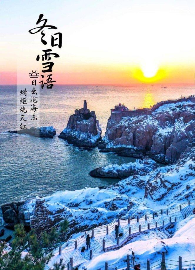 丛林之决战